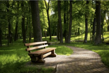 Projectoproep Natuur in je Buurt 2019